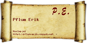 Pflum Erik névjegykártya